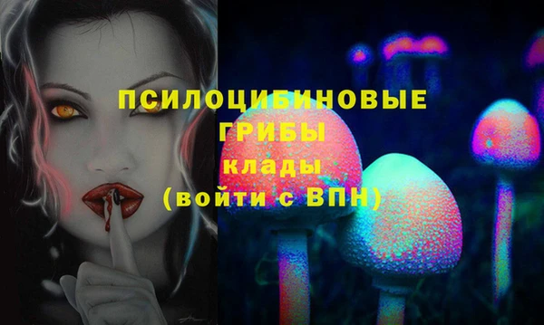 гашик Аркадак