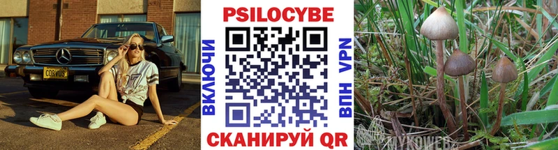 Псилоцибиновые грибы Cubensis  Мышкин 