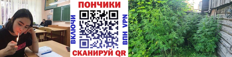Каннабис индика купить наркотики цена KRAKEN зеркало Мышкин